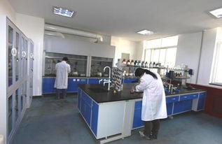 西安生漆涂料研究所新材料技術(shù)開發(fā)服務(wù) 賦能產(chǎn)業(yè)創(chuàng)新與可持續(xù)發(fā)展