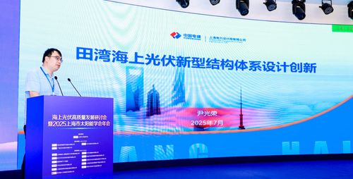 海上光伏高質量發(fā)展研討會暨2025上海市太陽能學會年會圓滿舉行