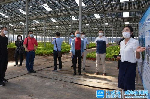 智慧大腦賦能產業升級 威海臨港區以新材料技術開發服務引領振興之路